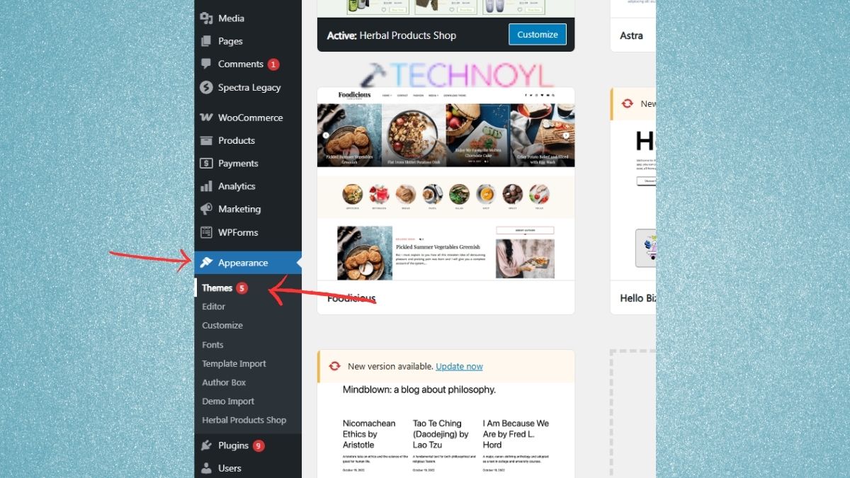 WordPress Themes in Appearance