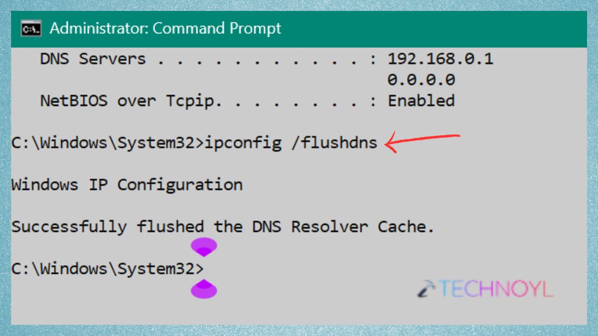 ipconfig flushdns